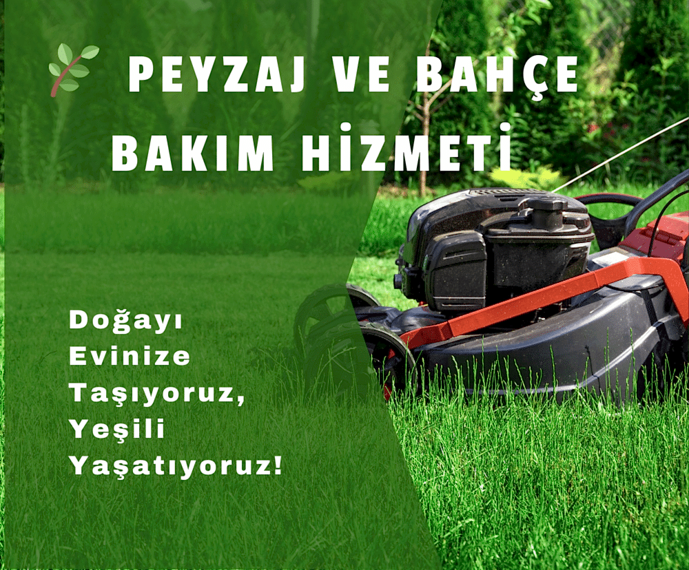 Bahçe Tasarımı