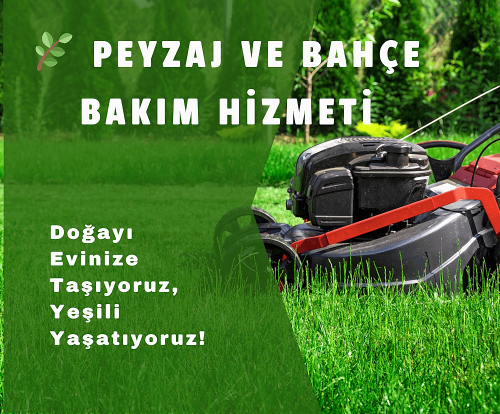 Ağaç ve Çalı Bakımı