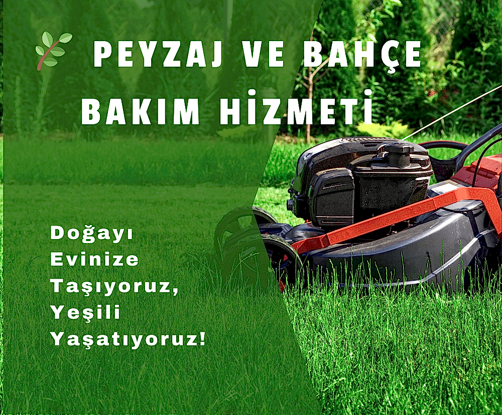 Çim Ekimi ve Bakımı